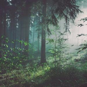 强奸乱伦终合视频
